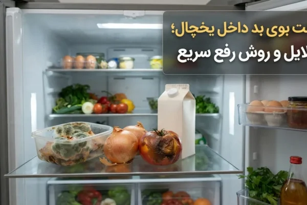 علت بوی بد داخل یخچال؛ دلایل و روش رفع سریع